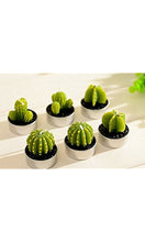 E-dance 6 Pcs Decorative Cactus Candles Mini Cute Tealight Candles for Home Decor Gift Birthday Party