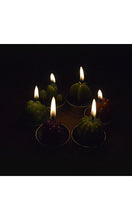 E-dance 6 Pcs Decorative Cactus Candles Mini Cute Tealight Candles for Home Decor Gift Birthday Party