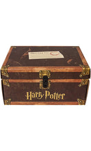 Harry Potter House Trunk Sets (Slytherin Set)